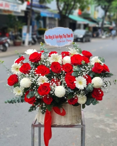 Khởi Đầu Mới 1